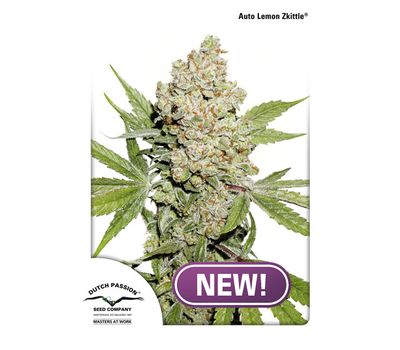 Семена конопли Auto Lemon Zkittle Автоцветы