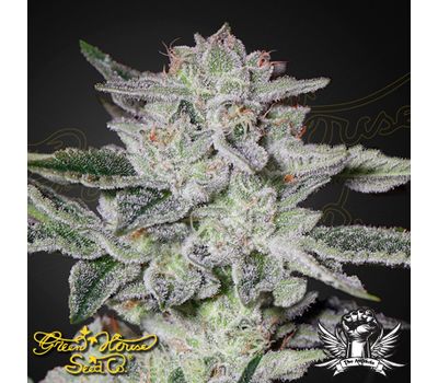 Семена конопли Sweet Valley Kush Фотопериодные