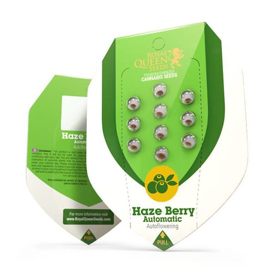 Семена конопли Haze Berry Auto - фото 2