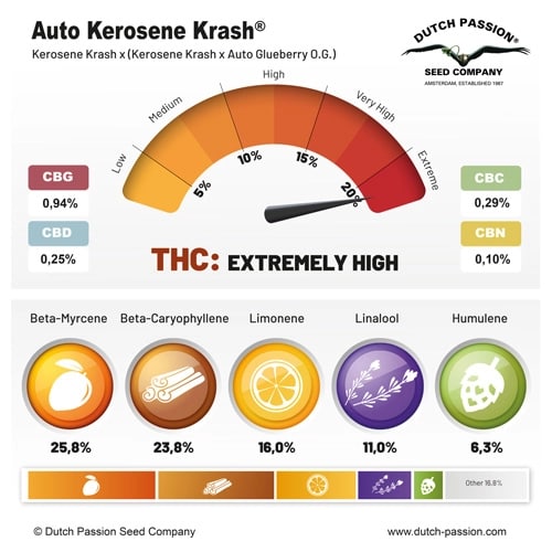 Семена конопли Auto Kerosene Krash - фото 4