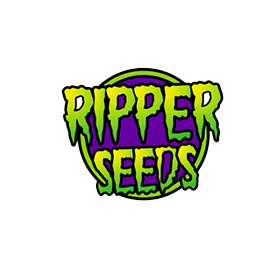 Семена конопли Animal Cookies x Purple Punch Фотопериодные