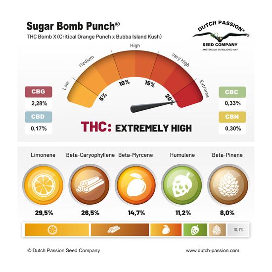 Семена конопли Sugar Bomb Punch Фотопериодные